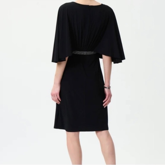 Joseph Ribkoff Dress - Picture 3 of 3